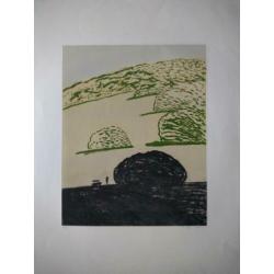 Peter Bes ets grafiek litho 15/50