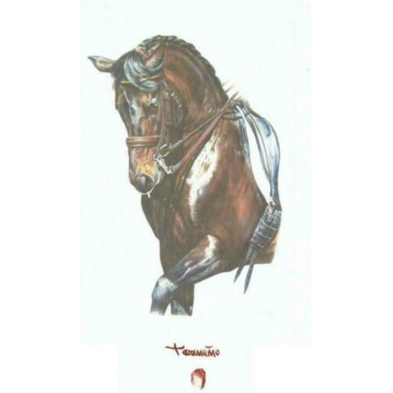 J F Villalba Tarmeño 46 Litho Paarden aquarellen