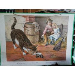 ±1900 Schoolplaat kat poes Paard koe bakker timmerman kat