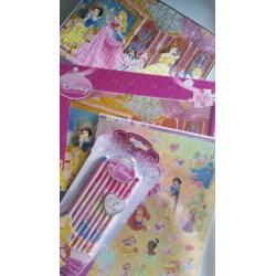 Disney Princess : Puzzel / Potloden en Stickers