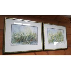 2x aquarel HBooij in prachtige lijst met glas.