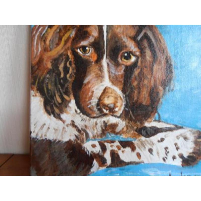 Springer spaniel acryl schilderij gesigneerd lia van langen