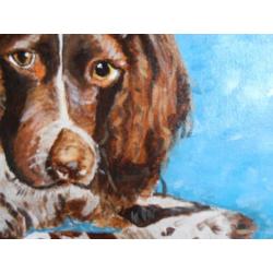 Springer spaniel acryl schilderij gesigneerd lia van langen