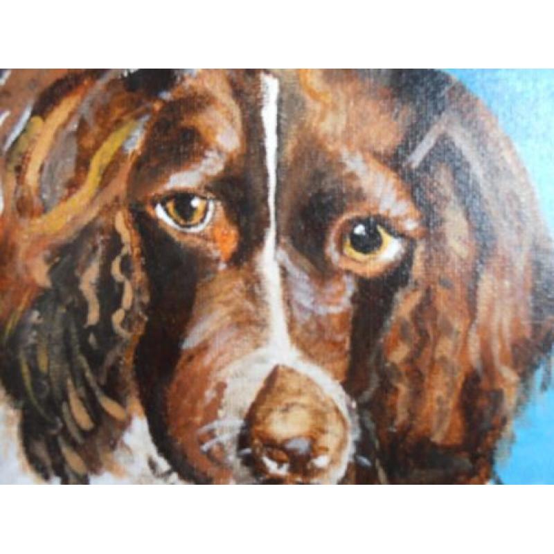 Springer spaniel acryl schilderij gesigneerd lia van langen