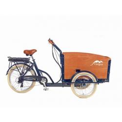 Cangoo Bakfiets Groovy Elektrisch