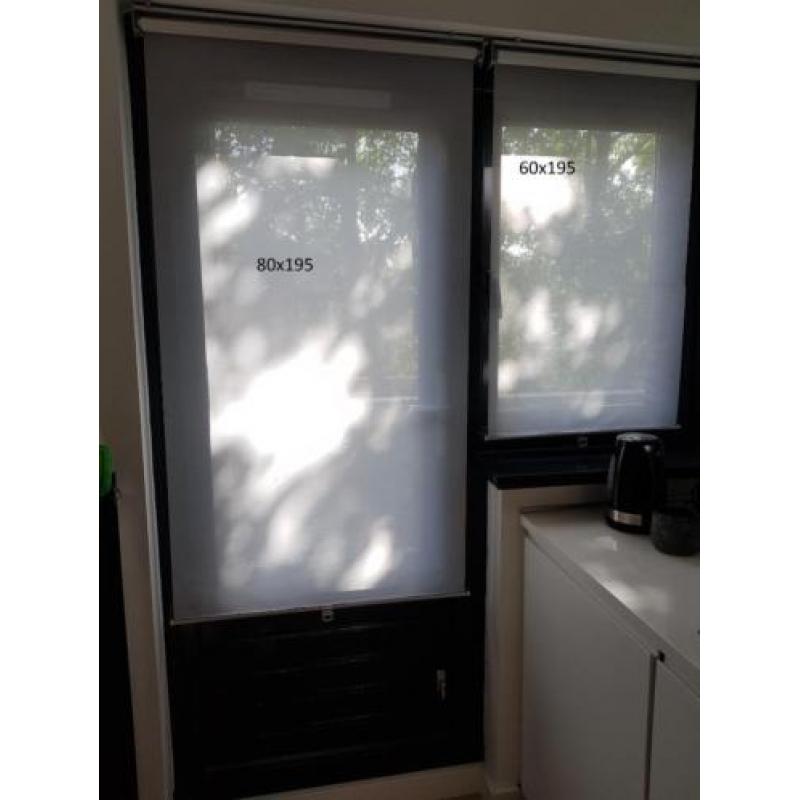 2x Rolgordijn IKEA SKOGSKLÖVER 60x195 / Wit transparant